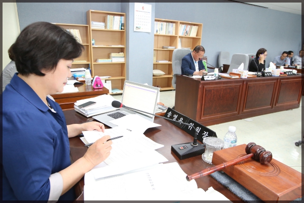 2017 행정사무감사 도시건설위원회