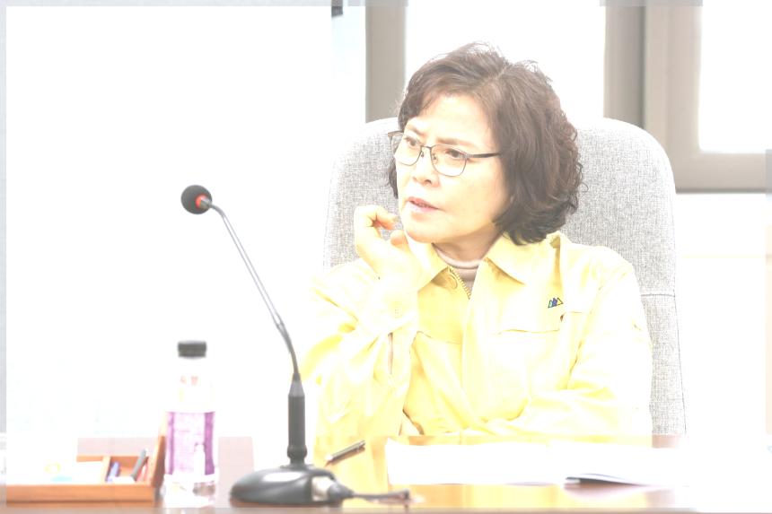 신종코로나바이러스 대응종합대책 보고