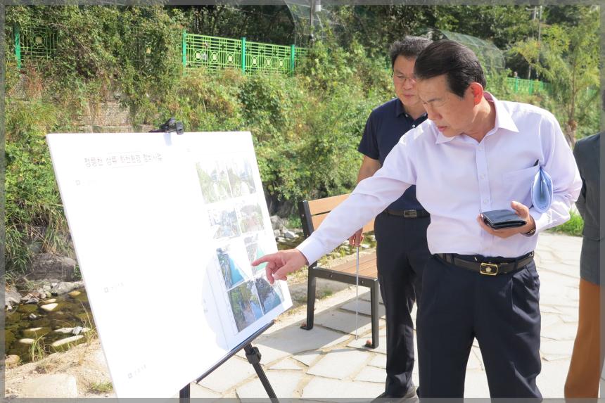 정릉천상류 개울섬 정비지역 현장방문 도시건설위원회 
