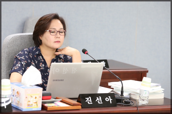 2017 행정사무감사 도시건설위원회