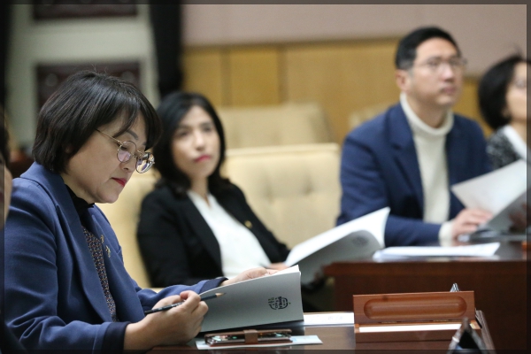 주민자치회 확대 시행 계획 설명