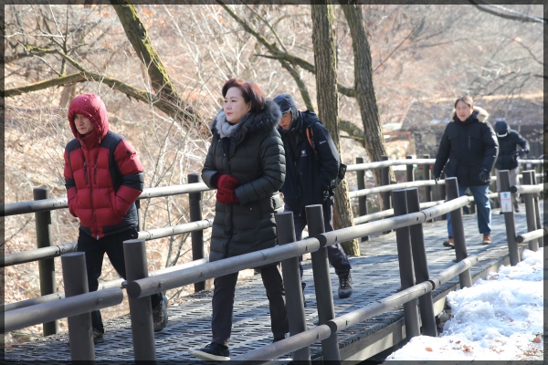 2017 성북구의회 송년 체육대회