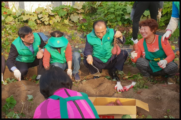 삼선동 고구마전달