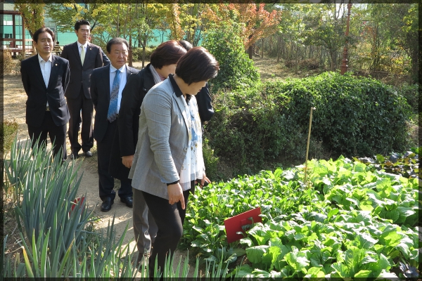 도시건설위원회 현장방문-석관동 도시텃밭