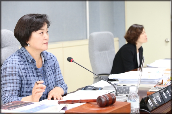 2017 행정사무감사 도시건설위원회